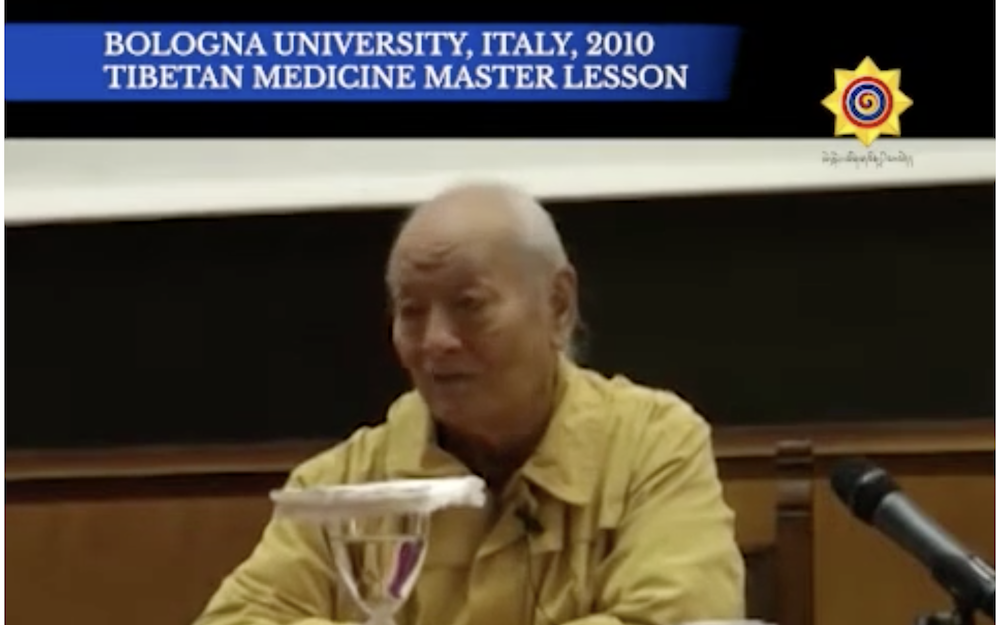 Prof. Namkhai Norbu: studies on tibetan medicine